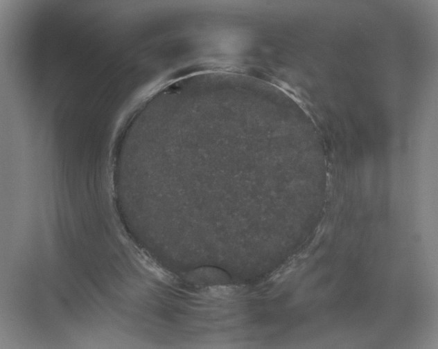 X0000072530149200607290233