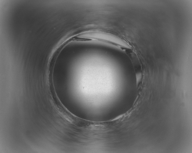 X0000072530150200607290233