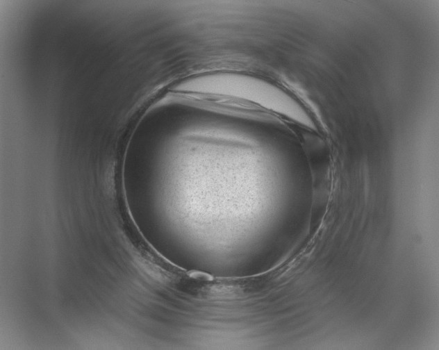 X0000072530154200607290233