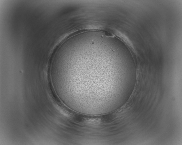 X0000072530155200607290233