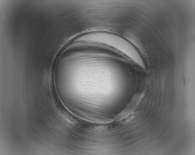 X0000072530156200607290233