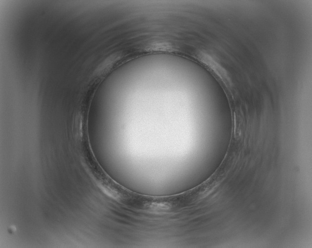 X0000072530157200607290233