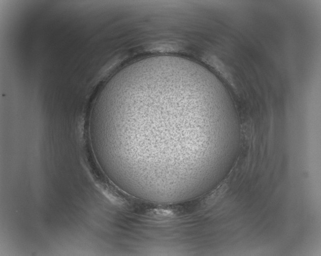 X0000072530159200607290233