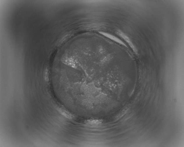 X0000072530161200607290233