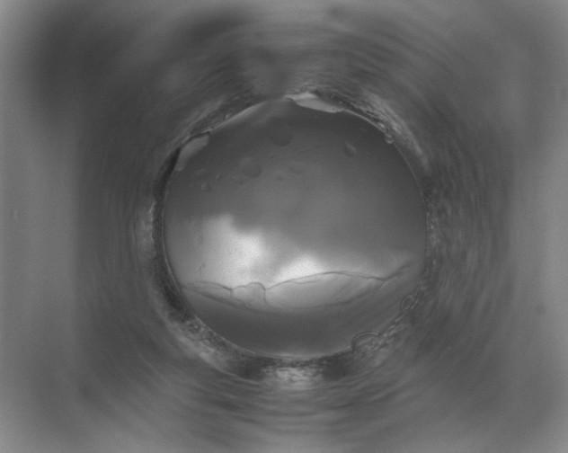 X0000072530163200607290233