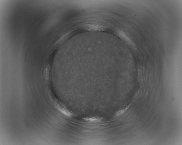 X0000072530165200607290233