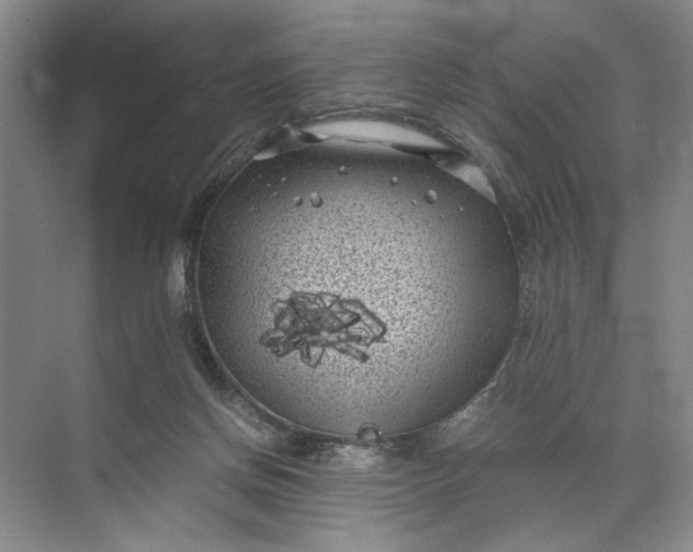 X0000072530166200607290233