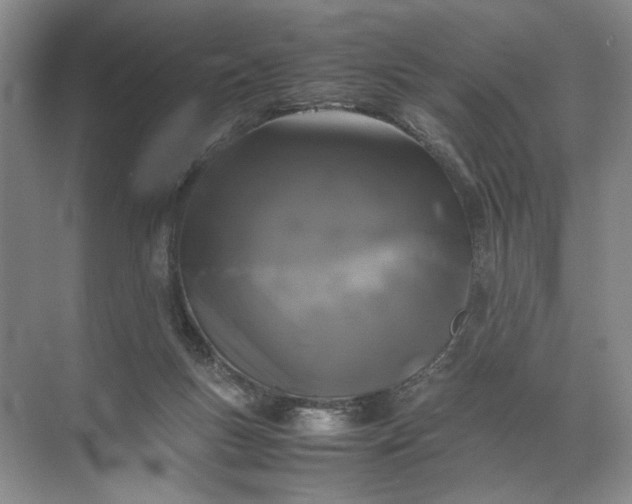 X0000072530167200607290233