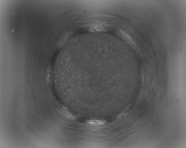 X0000072530169200607290233