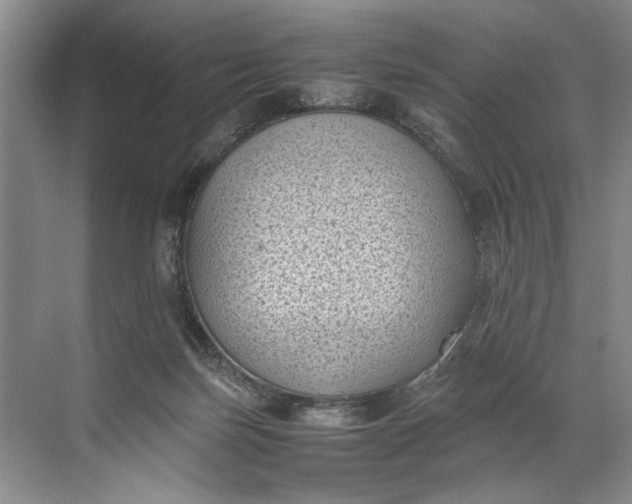 X0000072530171200607290233