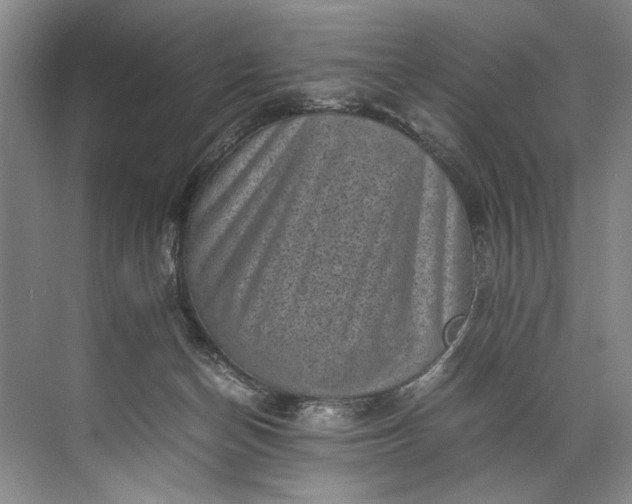 X0000072530174200607290233