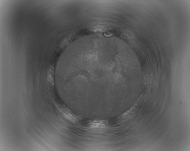 X0000072530175200607290233