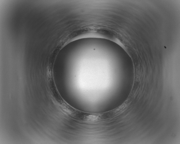 X0000072530176200607290234