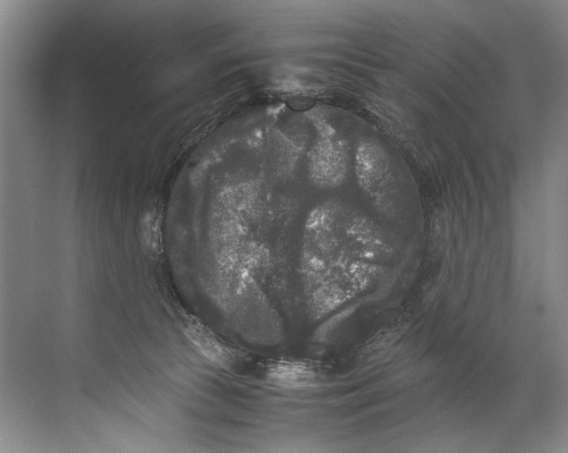 X0000072530177200607290234