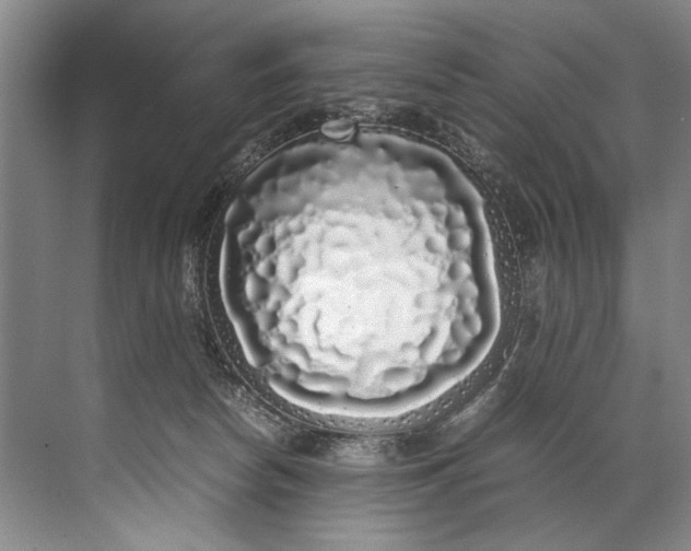 X0000072530178200607290234