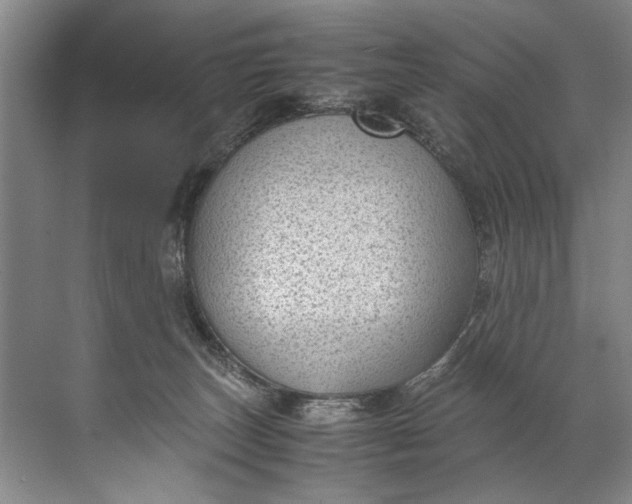 X0000072530179200607290234