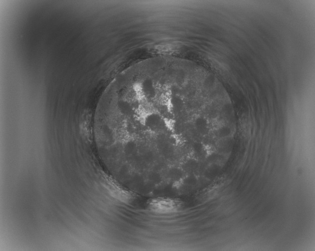 X0000072530181200607290234