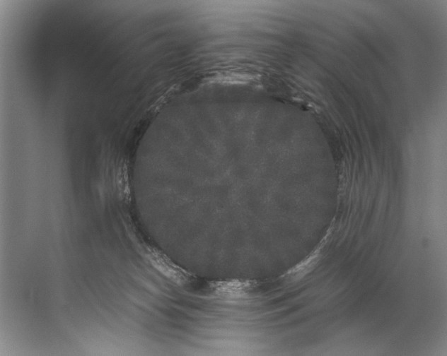 X0000072530182200607290234