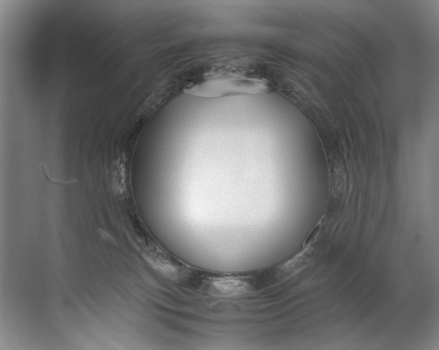 X0000072530183200607290234