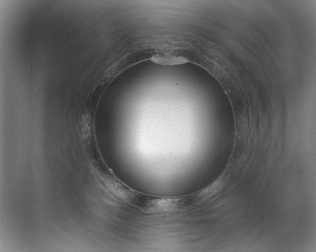 X0000072530184200607290234