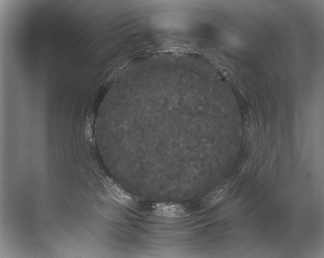 X0000072530185200607290234