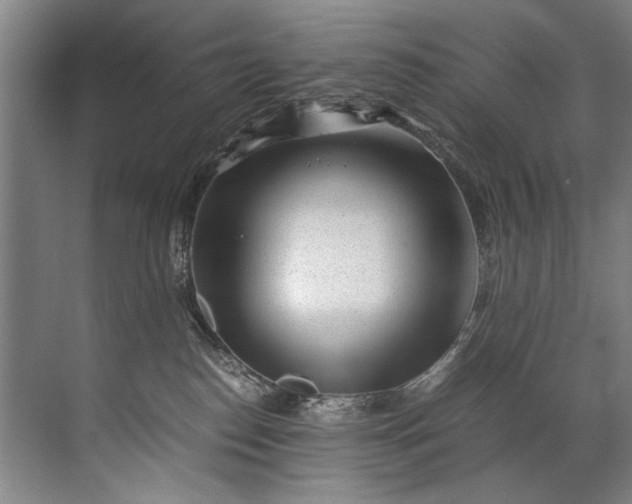 X0000072530186200607290234