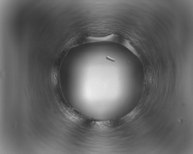 X0000072530188200607290234