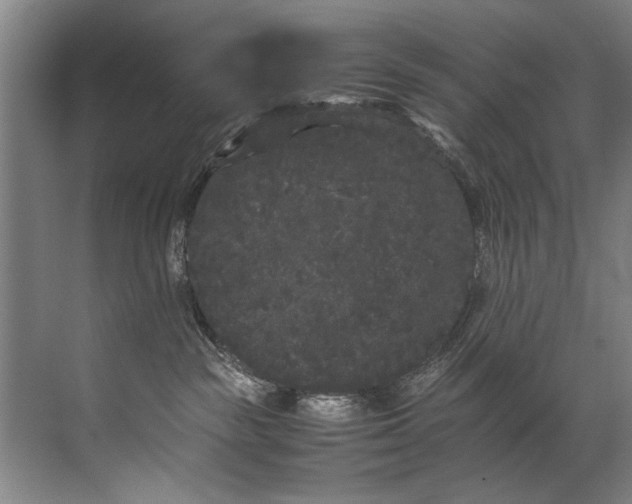 X0000072530189200607290234