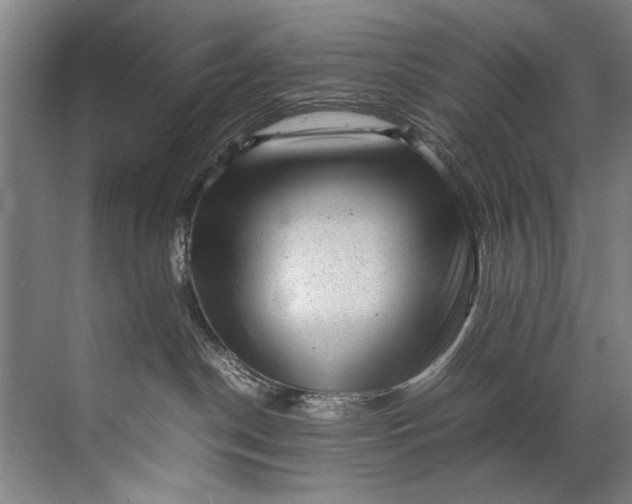 X0000072530190200607290234