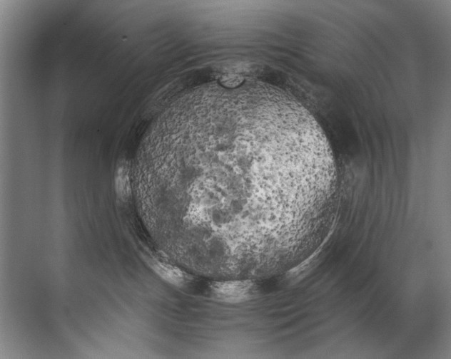 X0000072530191200607290234