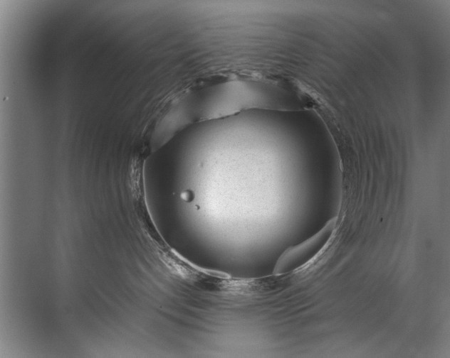 X0000072530192200607290234