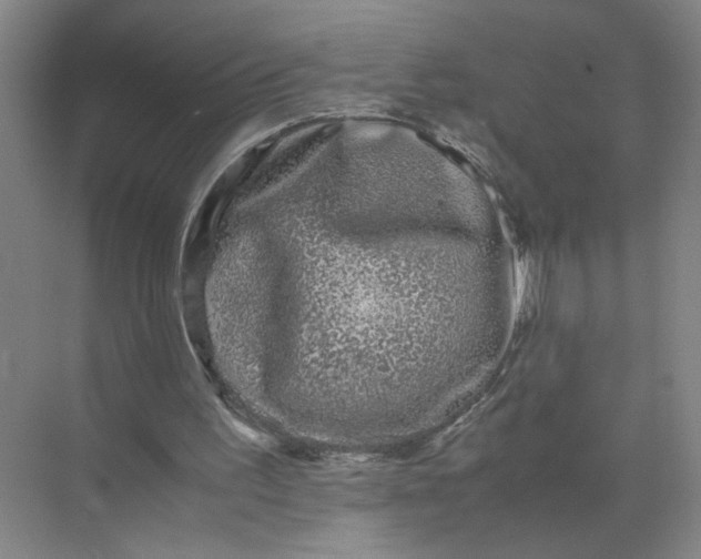 X0000072530195200607290233