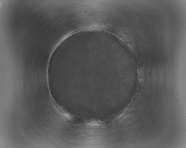 X0000072530196200607290233