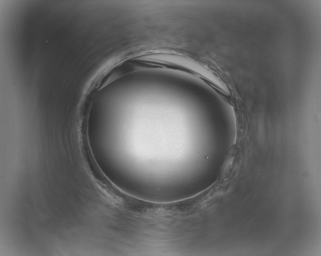 X0000072530197200607290233