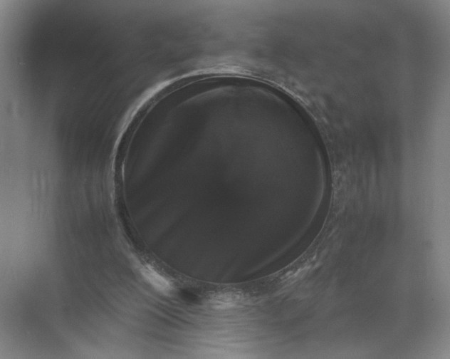 X0000072530200200607290233