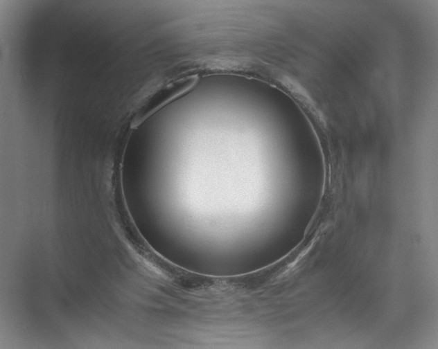 X0000072530201200607290233