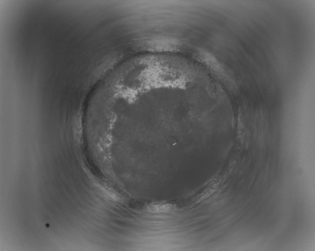 X0000072530202200607290233