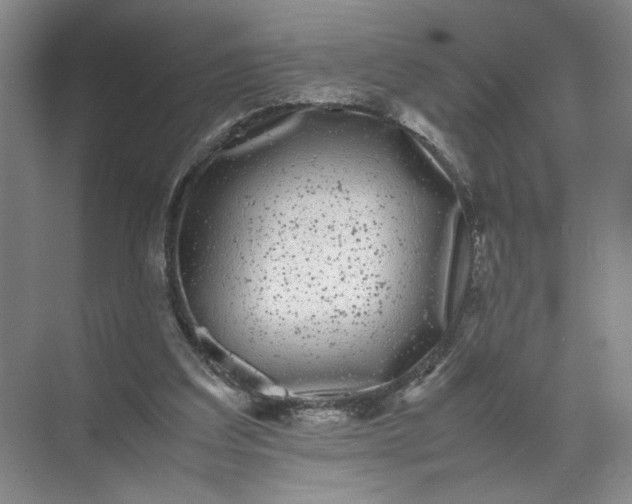 X0000072530203200607290233