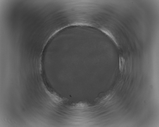 X0000072530204200607290233