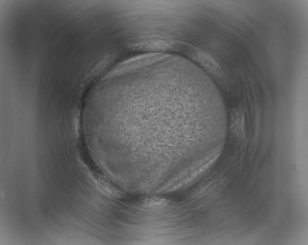 X0000072530206200607290233