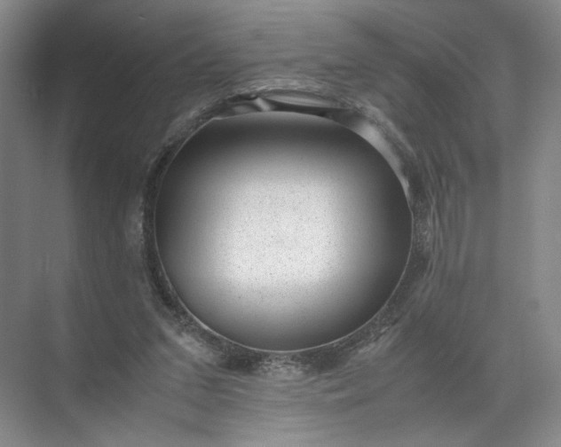 X0000072530207200607290233