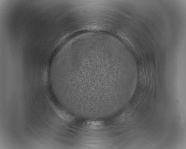 X0000072530208200607290233