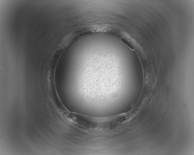 X0000072530209200607290233