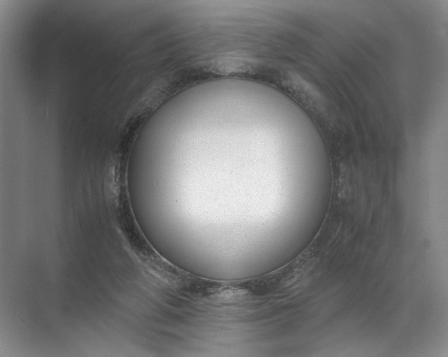 X0000072530210200607290233