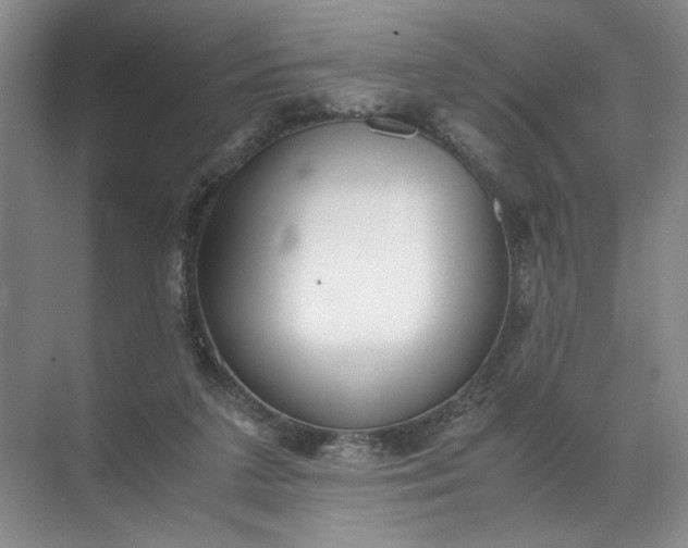 X0000072530211200607290233