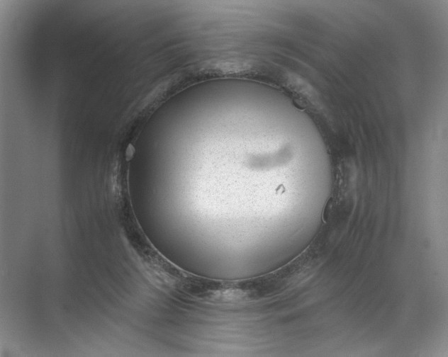 X0000072530212200607290233