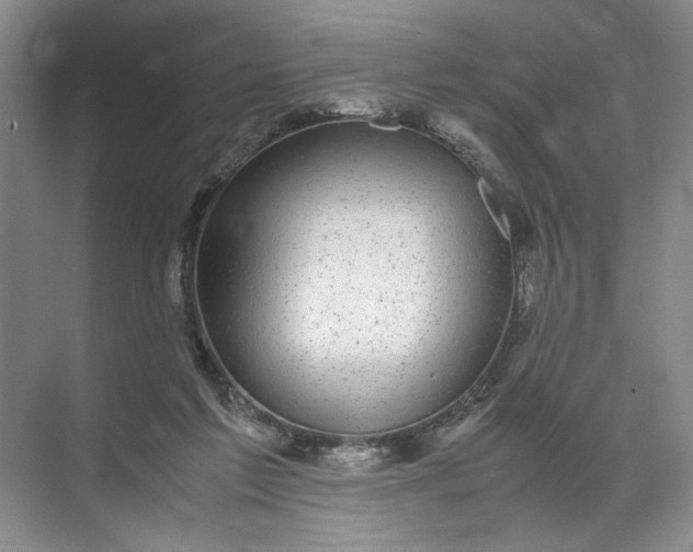 X0000072530213200607290233