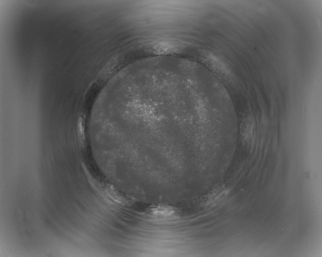 X0000072530214200607290233