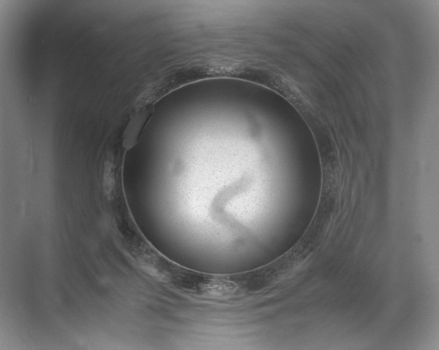 X0000072530215200607290233