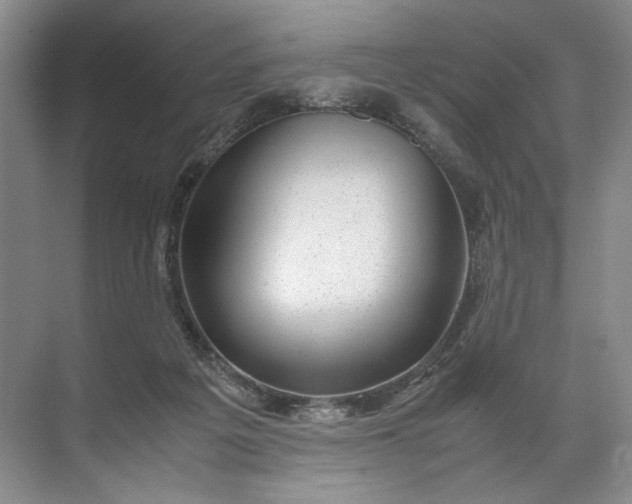 X0000072530217200607290233